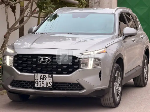 Hyundai Santa Fe 2021 — photo 6