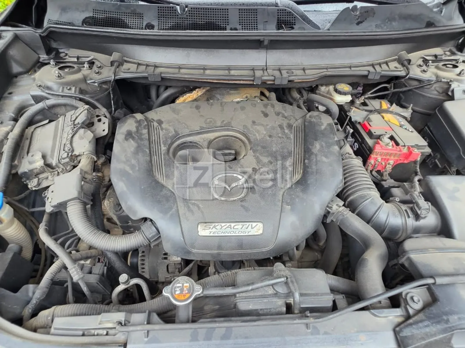 Mazda CX-9 2019 — photo 12