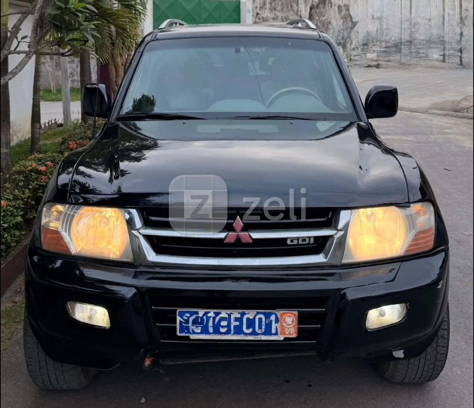 Mitsubishi Pajero 2002 — photo 1