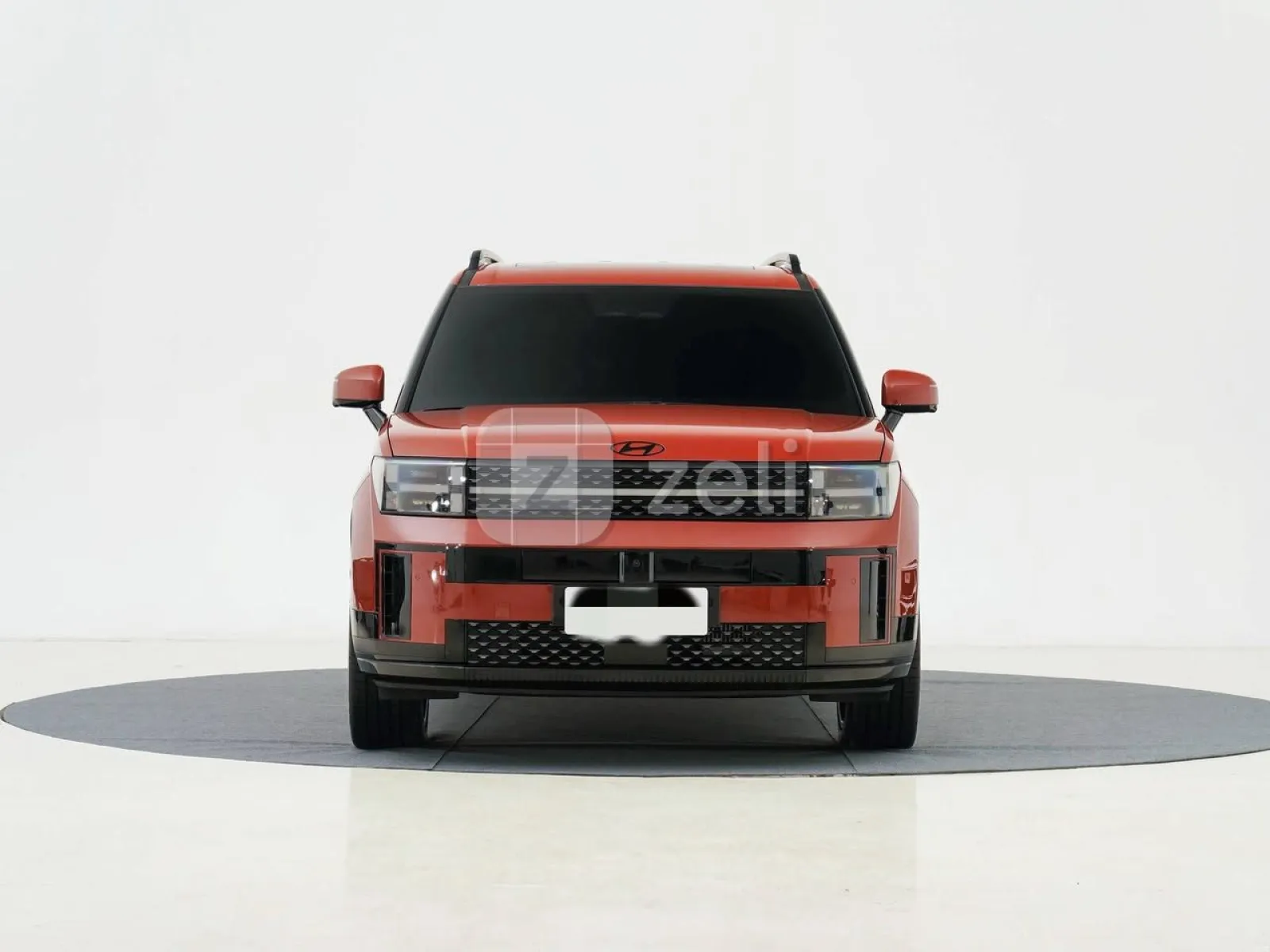 Hyundai Santa Fe 2024 — photo 1