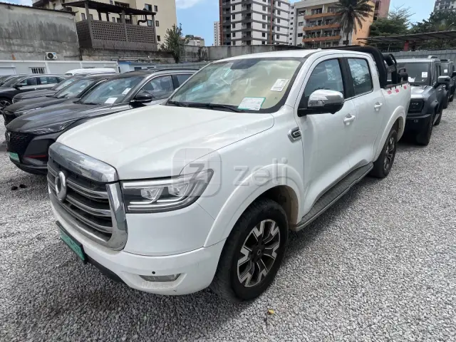 Great Wall Poer 2020 — photo 2