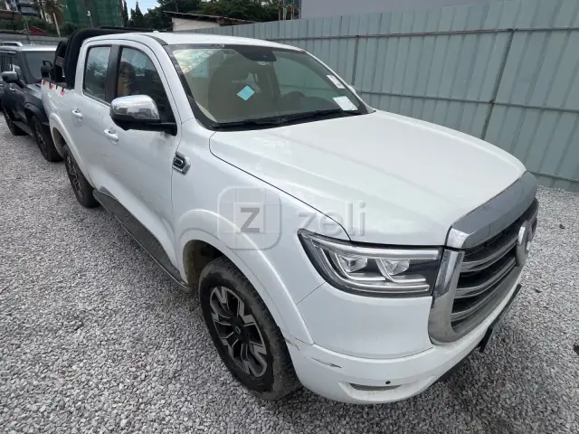 Great Wall Poer 2020 — photo 3