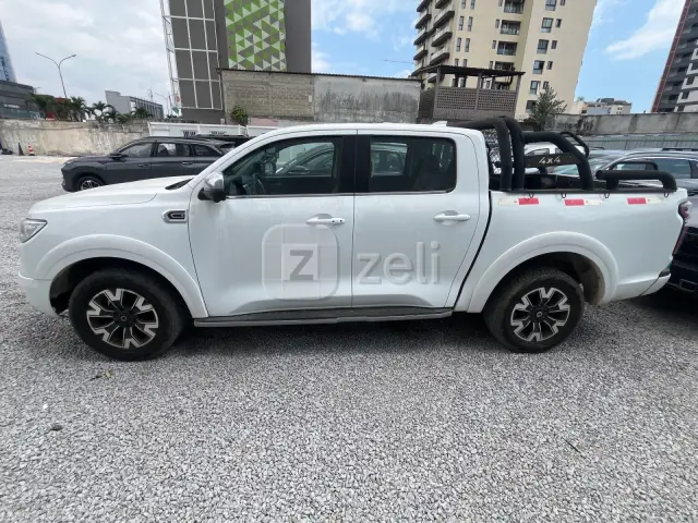 Great Wall Poer 2020 — photo 4