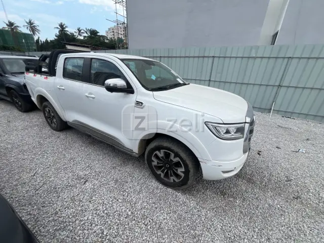 Great Wall Poer 2020 — photo 8