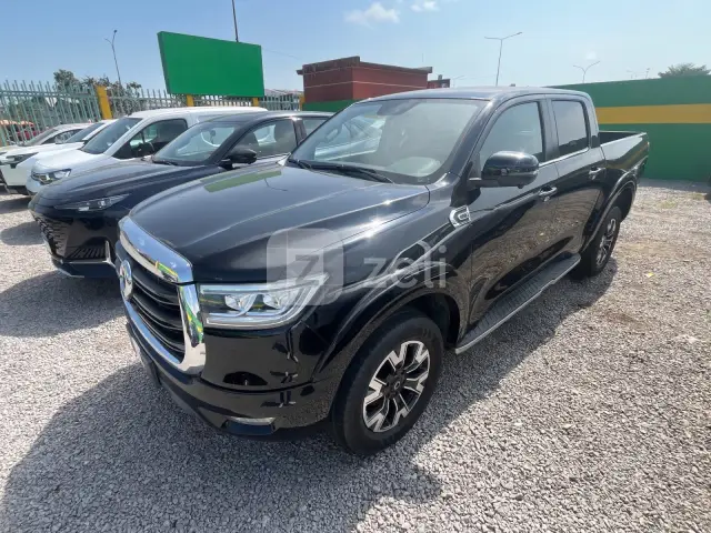 Great Wall Poer 2020 — photo 2
