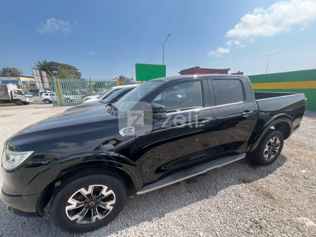 Great Wall Poer 2020 — photo 3