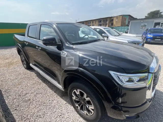 Great Wall Poer 2020 — photo 4