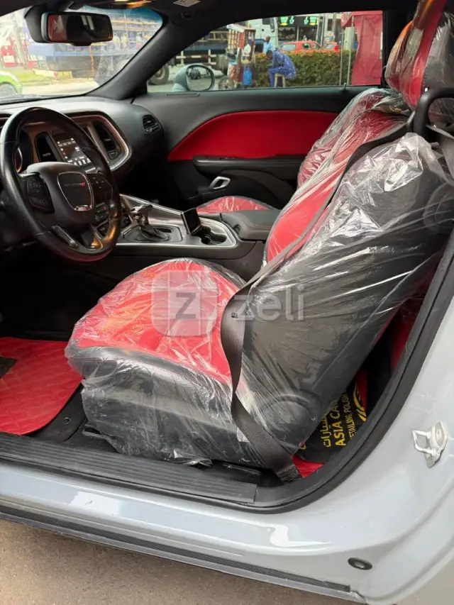 Dodge Anne 2022, photo 3
