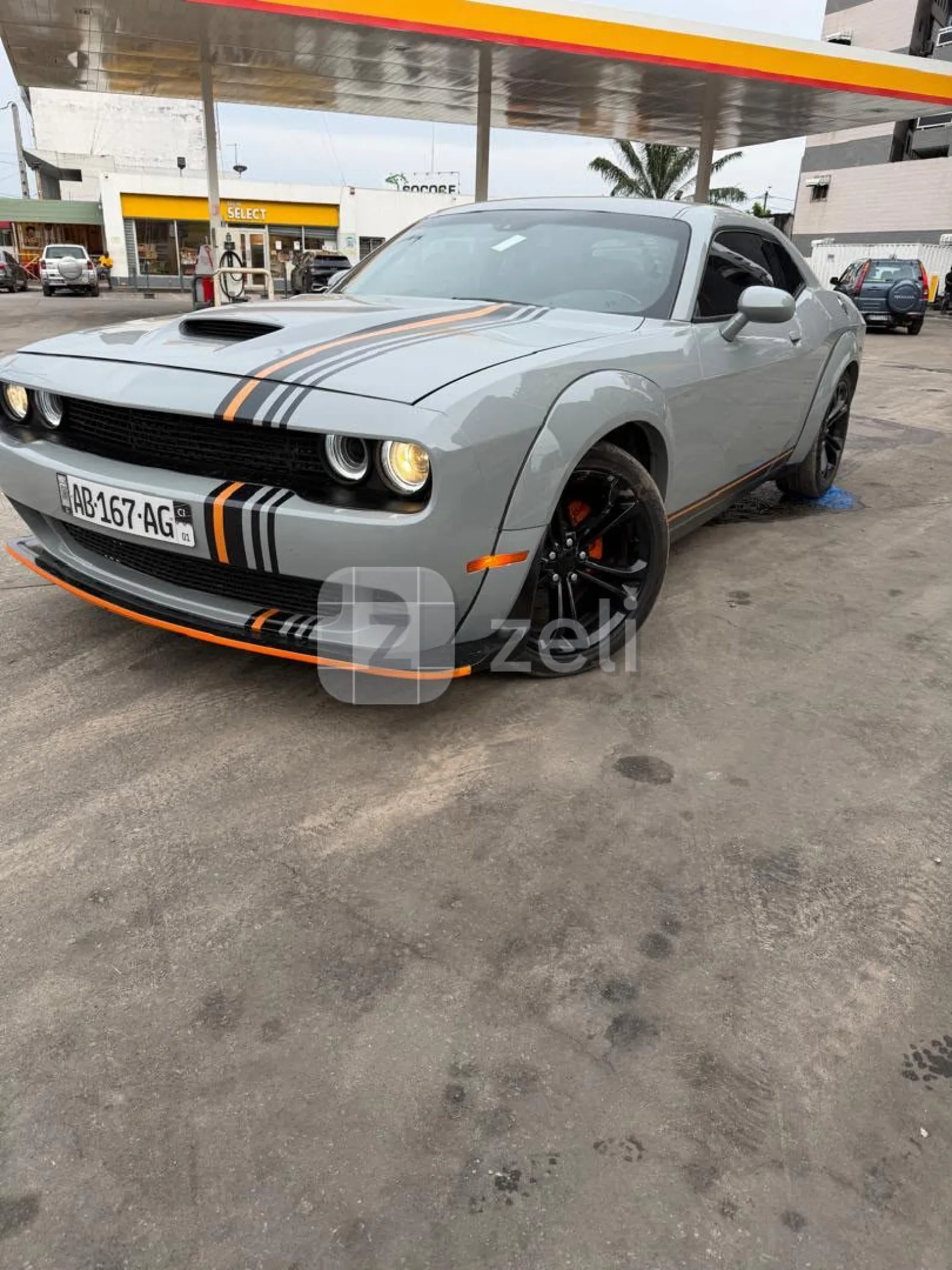 Dodge Anne 2022 — photo 5