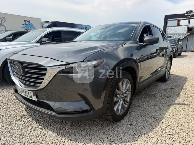 Mazda CX-9 2022, photo 6