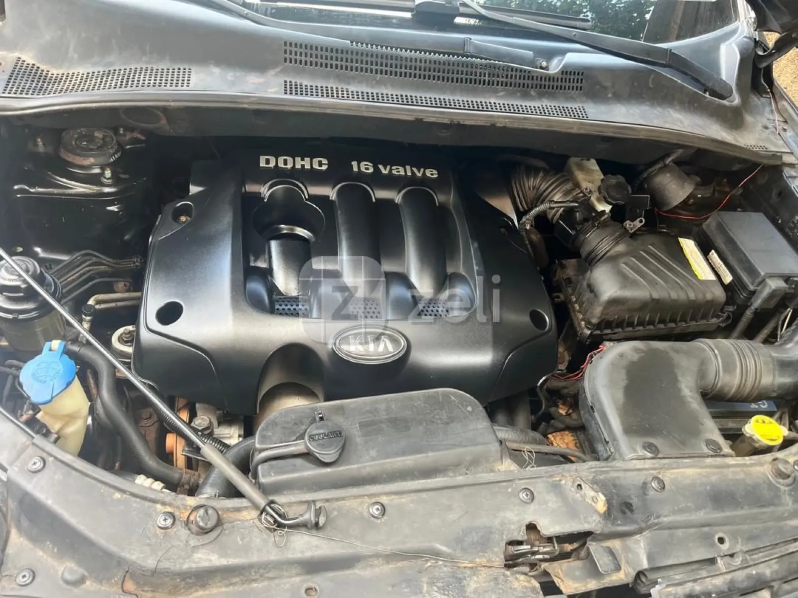 Kia Sportage 2006 — photo 8