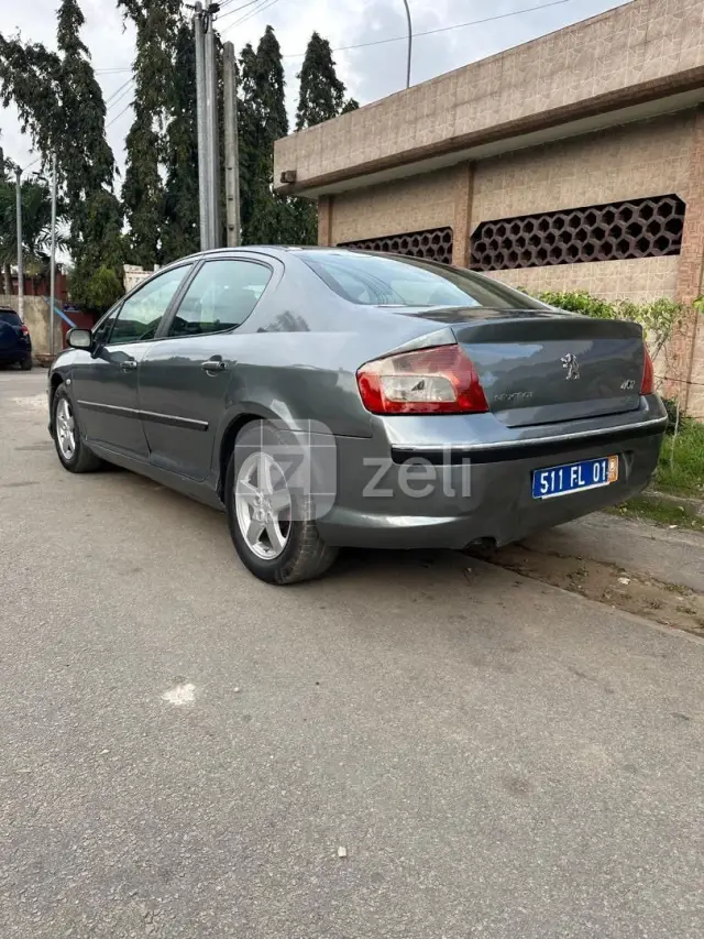 Peugeot 407 2000, photo 5