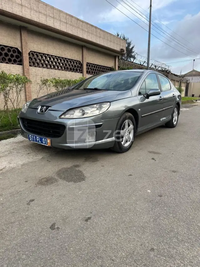 Peugeot 407 2000, photo 3