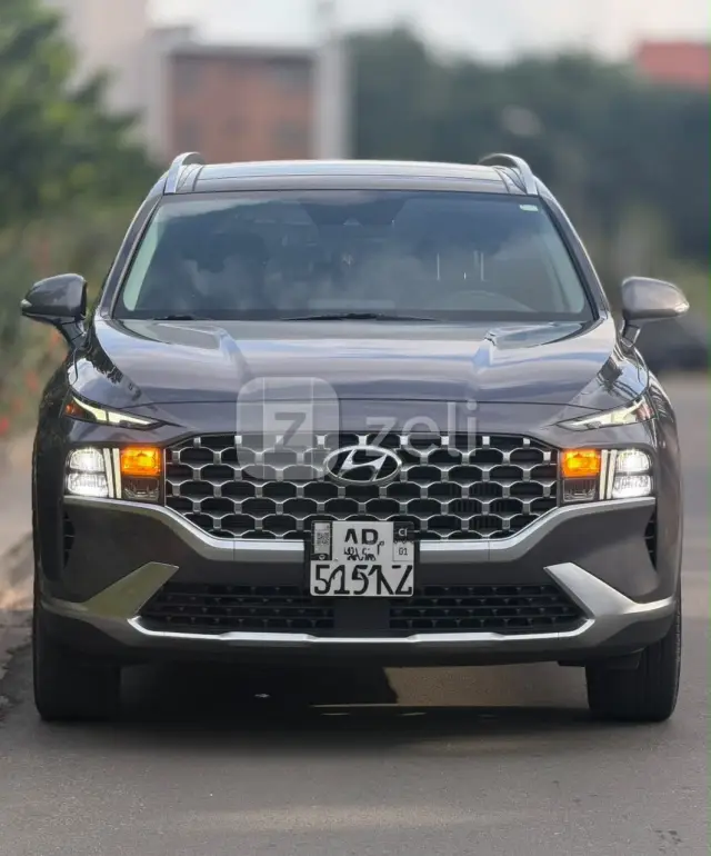 Hyundai Santa Fe 2022