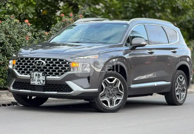 Hyundai Santa Fe 2022, photo 3