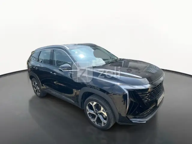 Geely Geely 2024 — photo 2