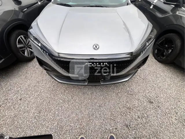 Dongfeng Aeolus Haohan 2024 — photo 20