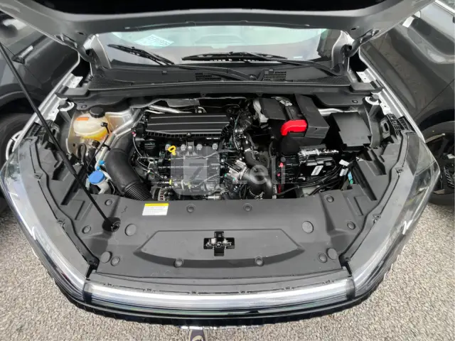 Dongfeng Aeolus Haohan 2024 — photo 21