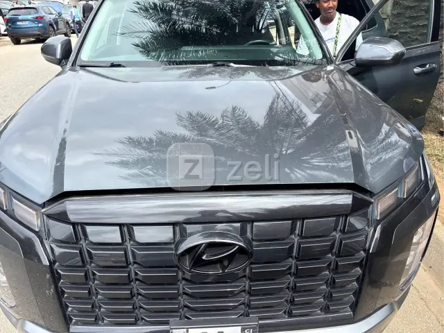 Hyundai Palissade 2023 — photo 22