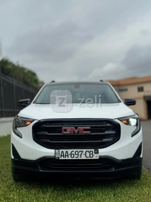 Gmc Terrain 2020