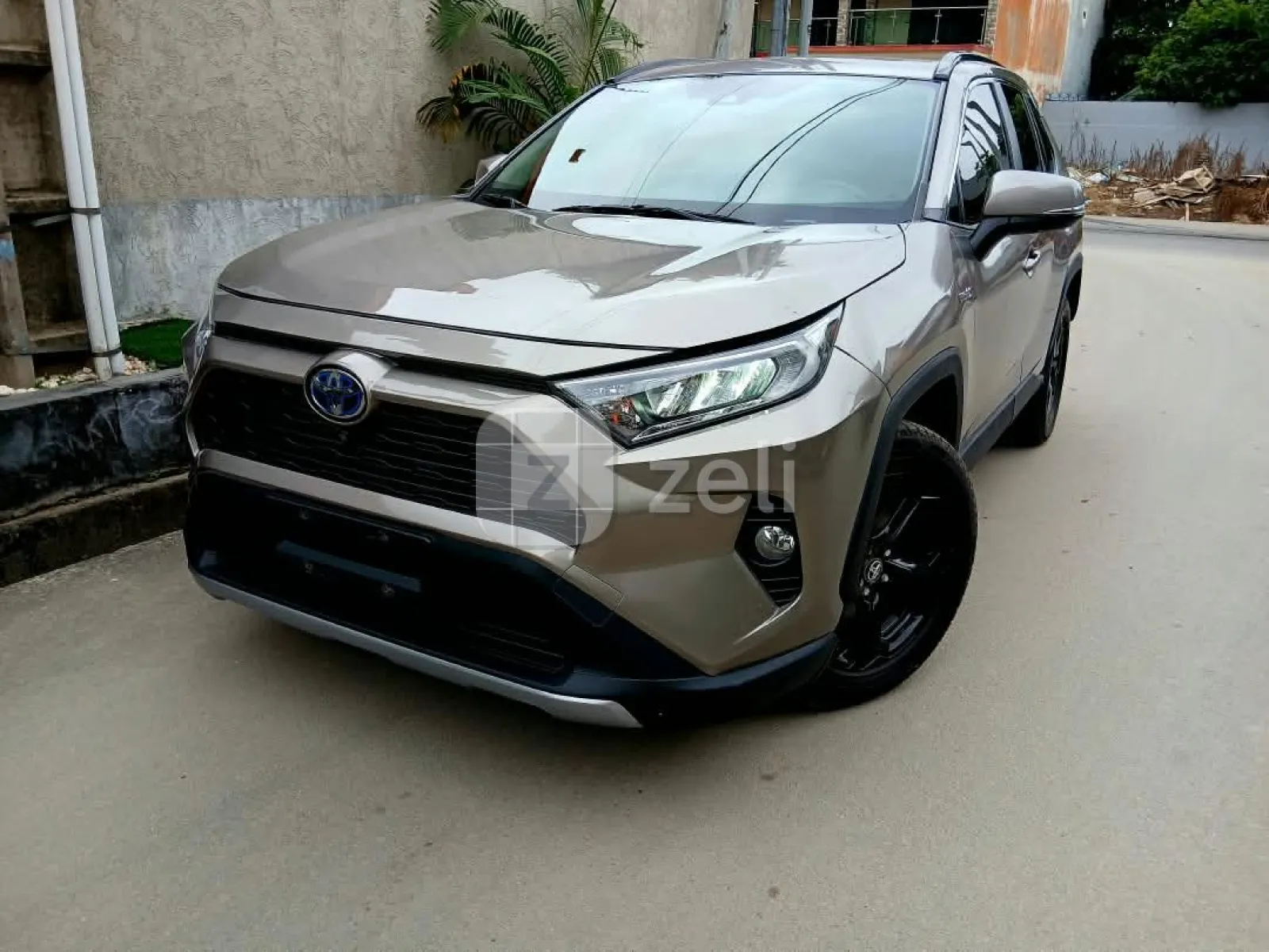 Toyota RAV4 2023 — photo 1