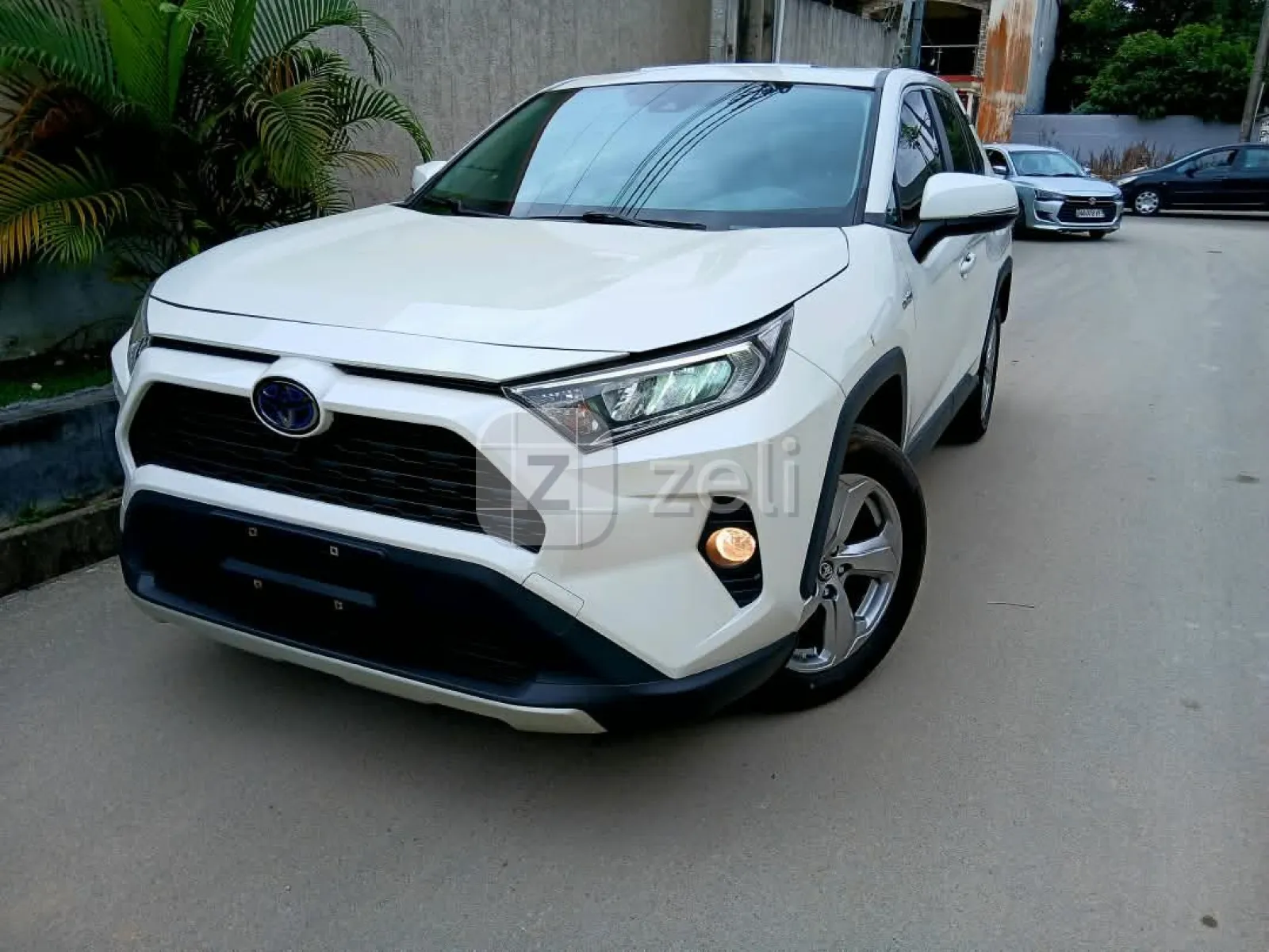Toyota RAV4 2023 — photo 1