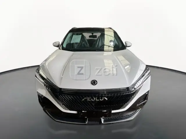 Dongfeng Aeolus Haohan 2025 — photo 2