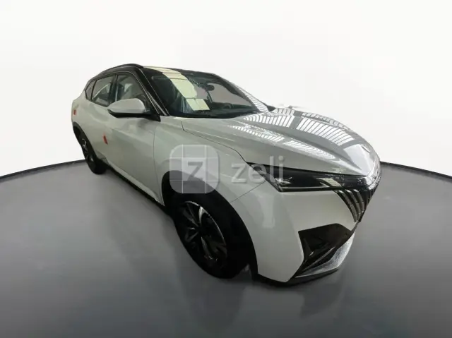 Dongfeng Aeolus Haohan 2025 — photo 3