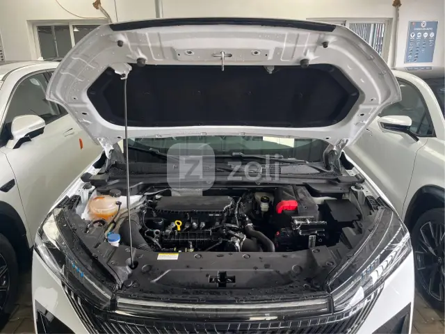 Dongfeng Aeolus Haohan 2025 — photo 11