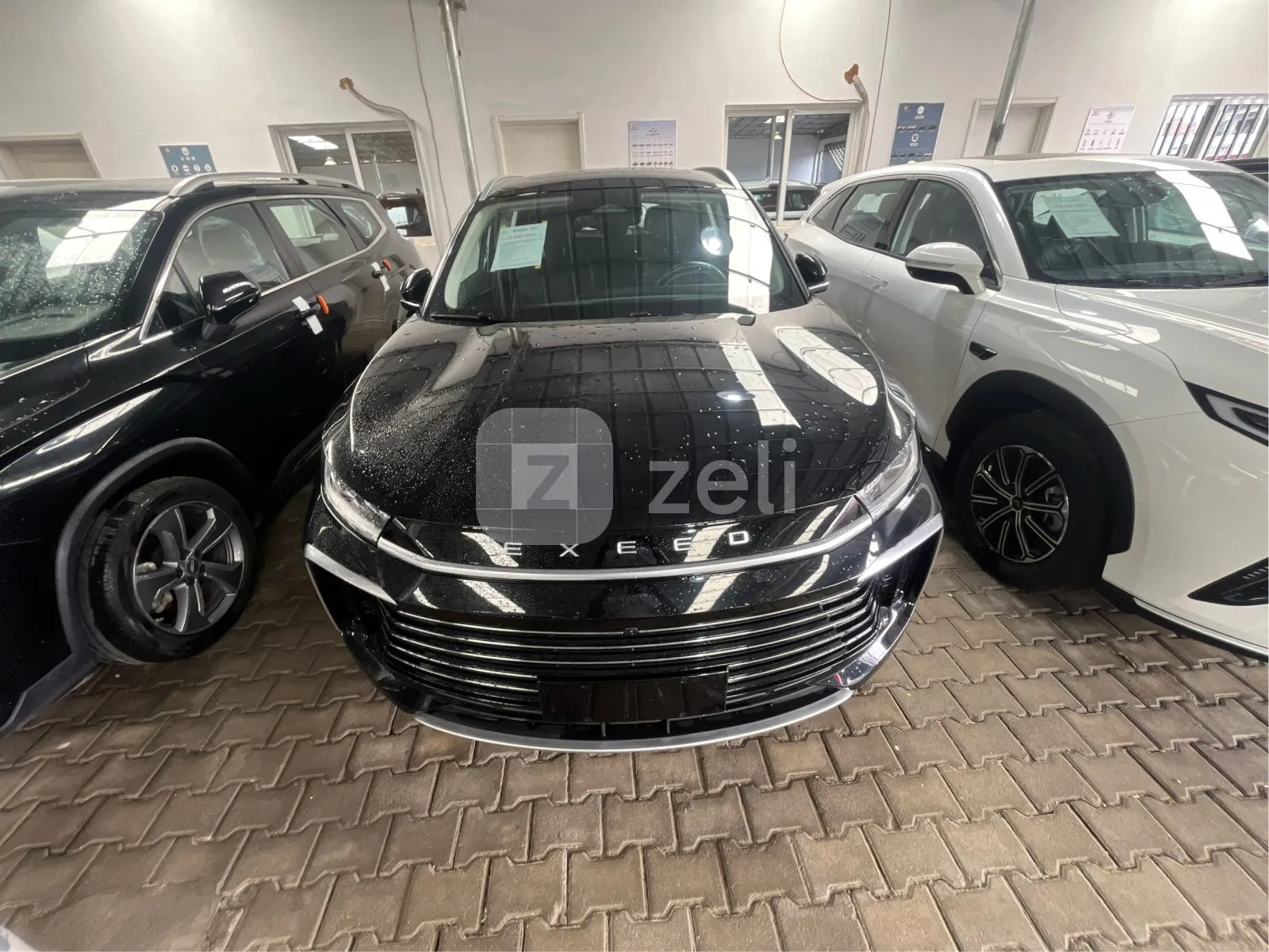 Exeeds TXL 2025 — photo 2