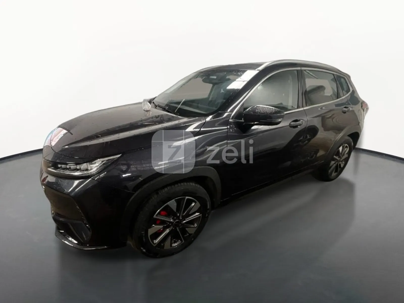 Exeeds LX 2025 — photo 1
