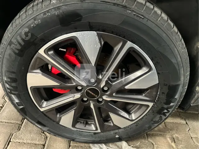 Exeeds LX 2025 — photo 22