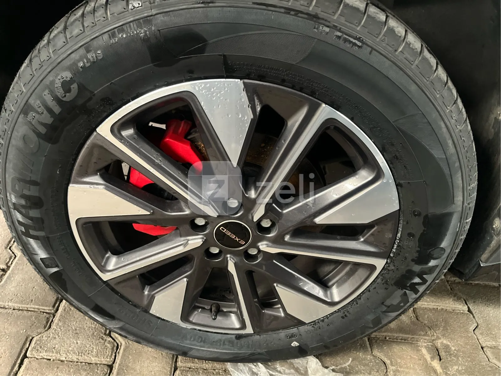 Exeeds LX 2025 — photo 22