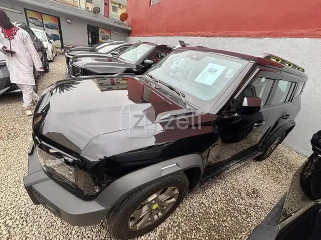 Jetour T2 2024 — photo 9