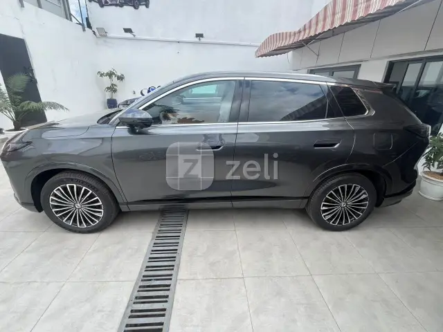 Dongfeng Fengshen L8 2025 — photo 4
