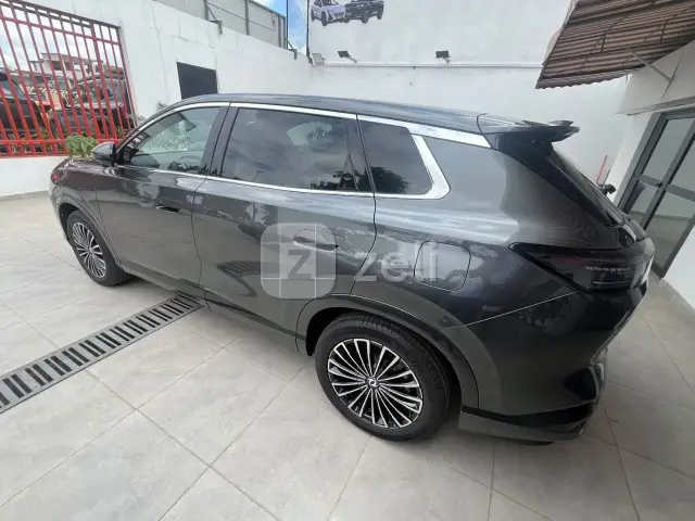 Dongfeng Fengshen L8 2025 — photo 5