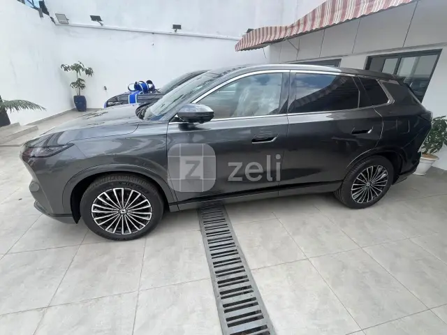 Dongfeng Fengshen L8 2025 — photo 6