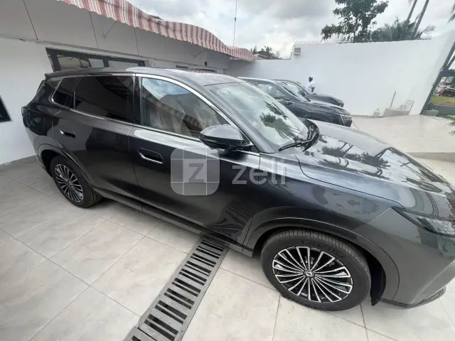 Dongfeng Fengshen L8 2025 — photo 7