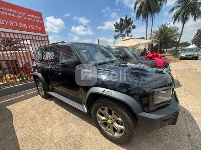 Jetour T2 2023 — photo 14