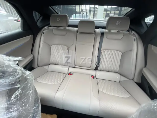 Byd Han DM i 2026 — photo 11