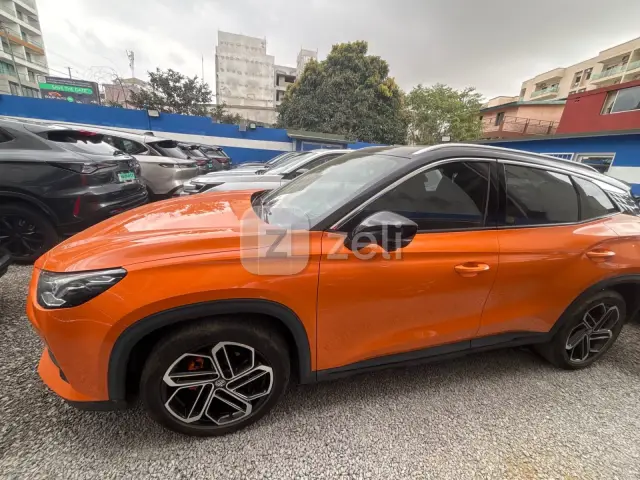 Mg One 2021 — photo 5