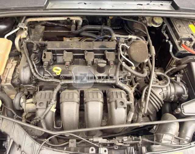Ford Focus 2015 — photo 7