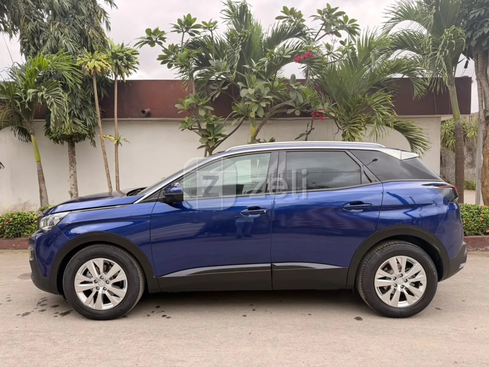 Peugeot 3008 2020 — photo 3