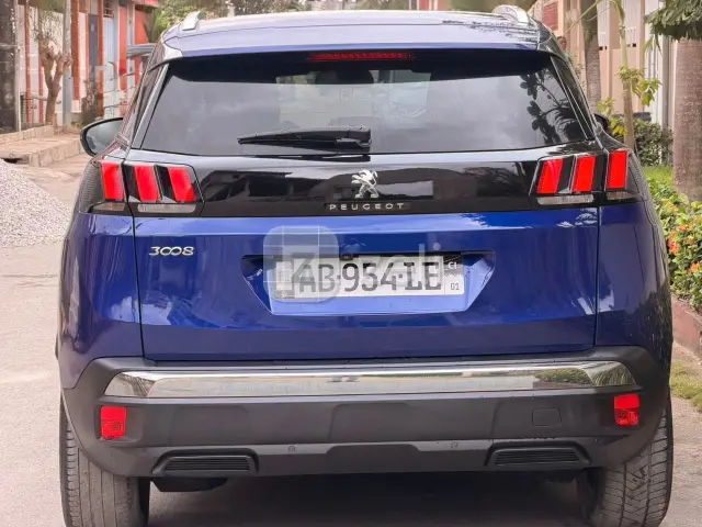 Peugeot 3008 2020 — photo 4