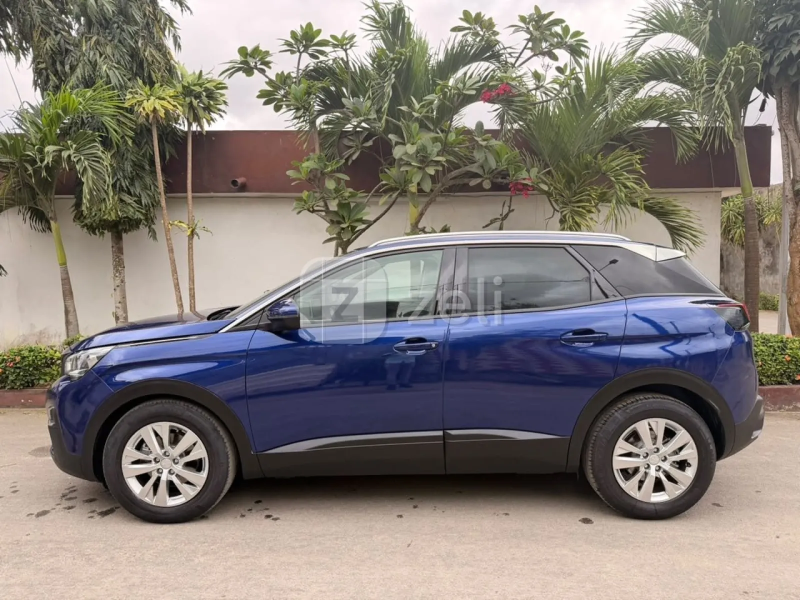 Peugeot 3008 2020 — photo 5